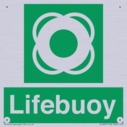 lifebuoy-with-symbol~